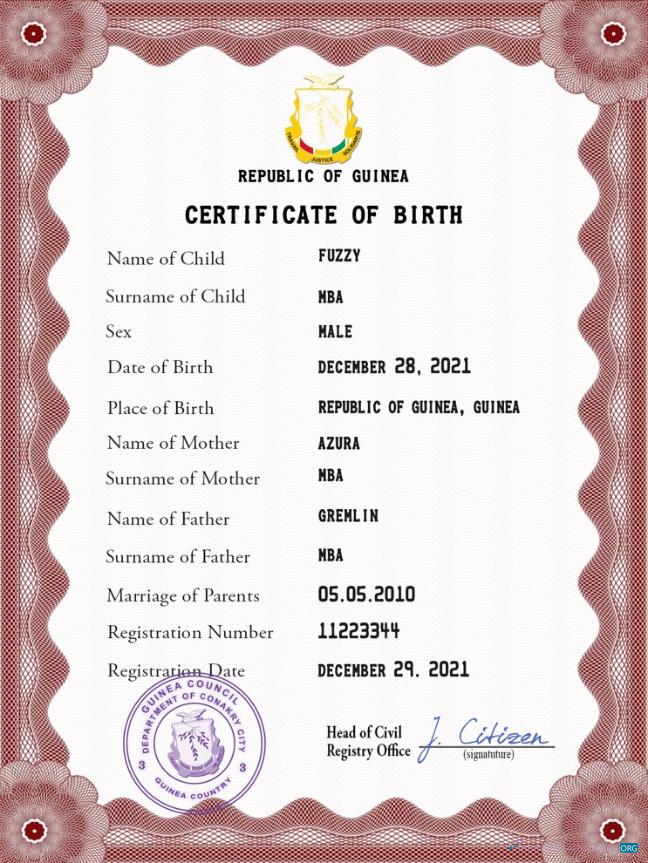 Download Guinea vital record birth certificate PSD template Photoshop template
